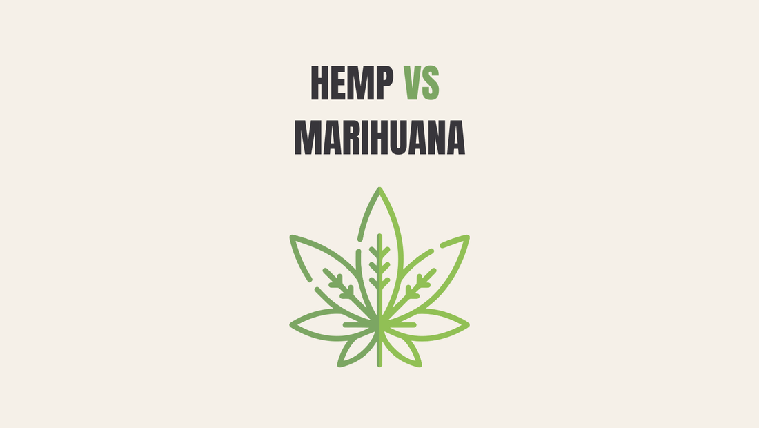 Hemp VS Marihuana - Petremedy